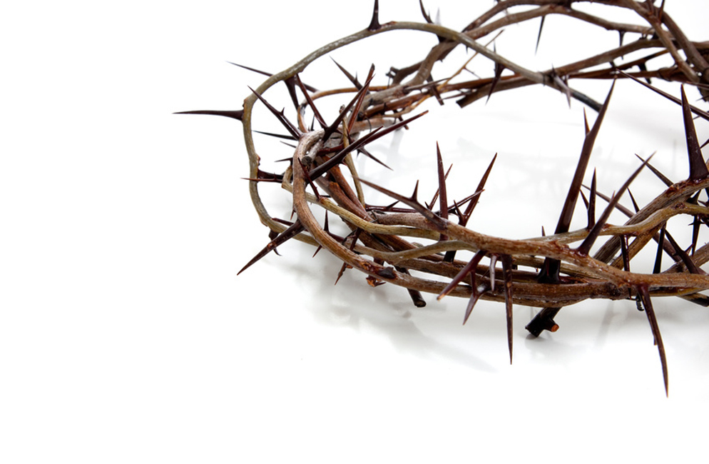 crown-of-thorns_994x650